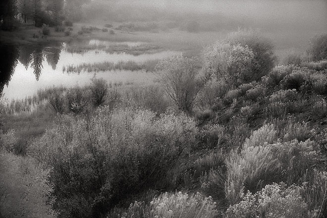 Autumn Fog Near Yellowstone - Highway 191, Southwest Montana (78550 bytes) www.jeffkrewson.com