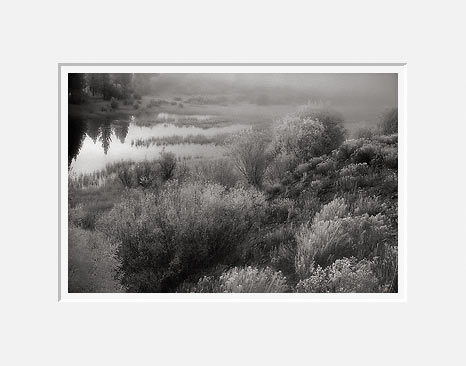 Autumn Fog Near Yellowstone - Highway 191, Southwest Montana (25564 bytes) www.jeffkrewson.com