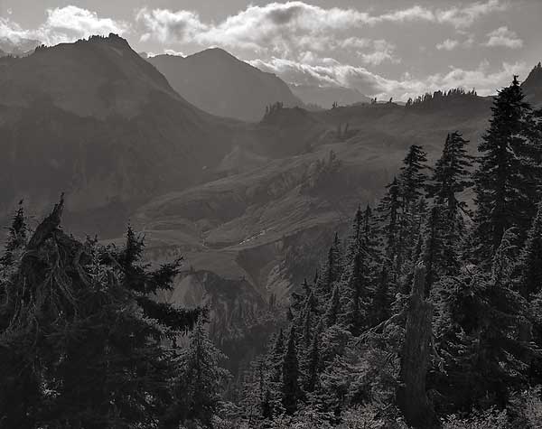 Backlit Meadows - North Cascade Mountains, Washington (36040 bytes) www.jeffkrewson.com