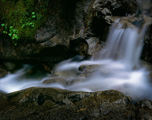 A Small Waterfall, Deception Creek - North Cascade Mountains, Washington (97340 bytes)