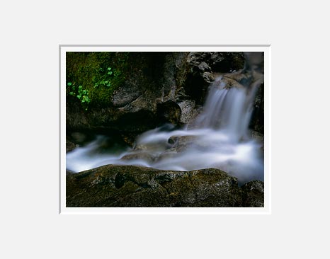 A Small Waterfall, Deception Creek - North Cascade Mountains, Washington (20041 bytes)