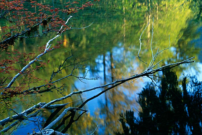 Autumn Reflection, Mountain Loop Highway - North Cascade Mountains, Washington (92174 bytes) www.jeffkrewson.com