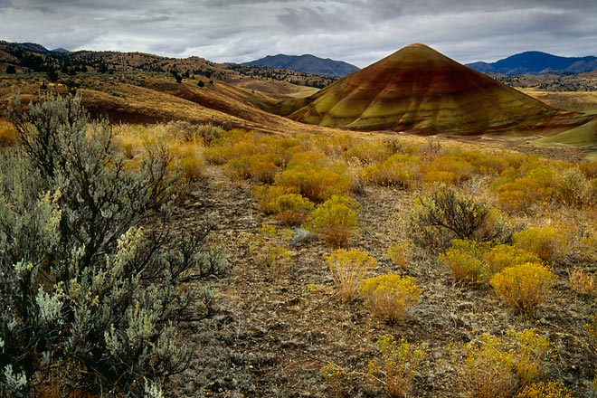Morning, Painted Hills - John Day Fossil Beds National Monument, Oregon (103246 bytes) www.jeffkrewson.com