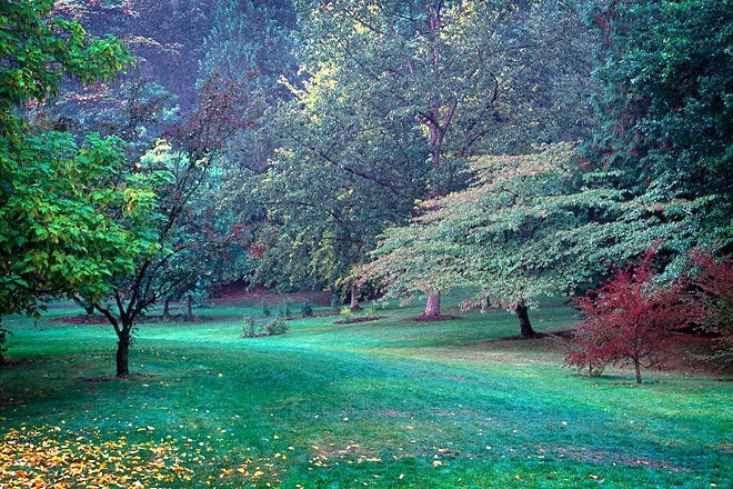 Pathway, Washington Park Arboretum - Seattle, Washington (130453 bytes) www.jeffkrewson.com