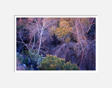 Queen Creek Canyon, Near Superior - Highway 60, Arizona (36937 bytes)