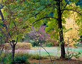 Arboretum 13, Washington Park Arboretum - Seattle, Washington (12338 bytes)