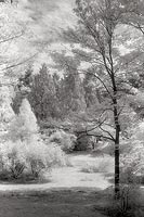 Arboretum View No.2, Washington Park Arboretum - Seattle, Washington (9645 bytes) www.jeffkrewson.com
