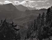 Backlit Meadows - North Cascade Mountains, Washington (3684 bytes) www.jeffkrewson.com