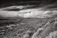 Horizon Line - Highway 305, Central Nevada (7752 bytes) www.jeffkrewson.com