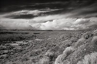 Horizon Line - Highway 305, Central Nevada (7752 bytes) www.jeffkrewson.com