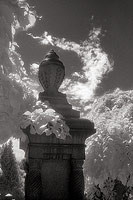 Monument and Cloud - Seattle, Washington (8671 bytes) www.jeffkrewson.com