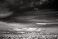 Sage and Sky - Central Nevada (8187 bytes) www.jeffkrewson.com