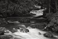 Sauk River Tributary, Mountain Loop Highway - North Cascade Mountains, Washington (7980 bytes) www.jeffkrewson.com