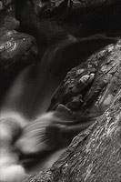 Waterfall, Highway 706 - Mt. Rainier National Park, Washington (10352 bytes) www.jeffkrewson.com