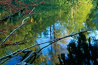 Autumn Reflection, Mountain Loop Highway - North Cascade Mountains, Washington (12380 bytes) www.jeffkrewson.com