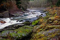 South Fork Stillaguamish River, Mountain Loop Highway - North Cascade Mountains, Washington (12237 bytes) www.jeffkrewson.com