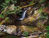 Vision - North Cascade Mountains, Washington (11291 bytes) www.jeffkrewson.com