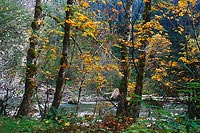 Index River, Index-Gallena Road - North Cascade Mountains, Washington (15032 bytes) www.jeffkrewson.com